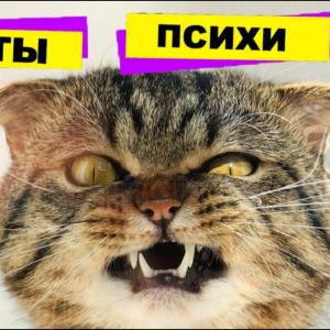Евгений Великий